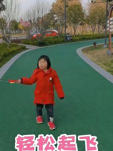 35cm/50cm Cartoon Simulation Labubu Frozen Kuromi Butterfly Aircraft Lotso Flying Kite Handheld Kite Childrens Handheld Kite Outdoor Sport Kids Toy