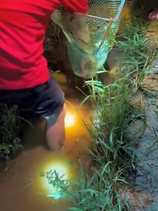 คิดเชื่อมต่อ RXC ไฟฉายคาดหัว แท้ LED แรงสูง ส่องแสงระยะ 5KM ไฟคาดหัว ไฟฉายแรงสูง ไฟส่องกบ ไฟส่องสัตว์ T998