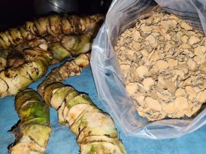 UBI GELI KERING AYAHJAB 100GRAM - DIJAMIN HALAL BERSIH & ORIGINAL 100% (PRODUK BUMIPUTERA)