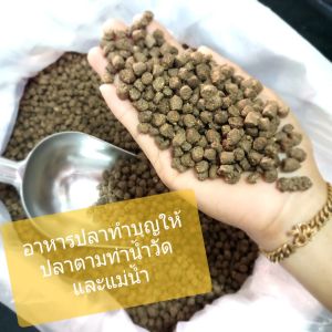 อาหารปลาถุง 1 กก. ทำบุญให้ปลาที่วัด ท่าน้ำวัด ปลาแม่น้ำ อาหารปลากินพืช