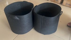 1-7 Gallon Big Plant Grow Bags: Essential Tools for Home Gardeners