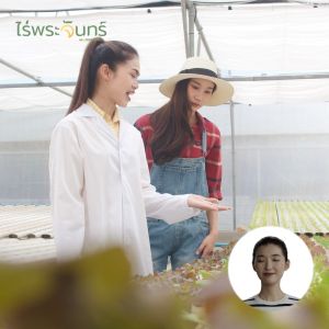 ผงขิง มีอย. แท้ ไม่ผสมแป้งและน้ำตาล แบรนด์ไร่พระจันทร์ (MOONFARMS Ginger Powder ผงขิง ผงขิง ผงขิง บด ผงขิง บด เครื่องดื่มขิง น้ำขิง คุณภาพ 400g)