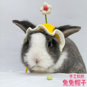 หมวกหนูน้อย Adorable Rabbit Hat เสื้อผ้าสัตว์เลี้ยง หมวกดอกไม้ หมวกเล็ก ของเล่น หมวกหนูน้อย หมีแพนด้า หมวกสัตว์เลี้ยง