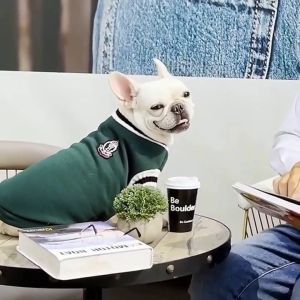 Áo cho Chó Mèo bằng vải nỉ viền len giữ ấm áo màu đỏ xanh xám cho thú cưng (mẫu mới) - Love Pets Shop