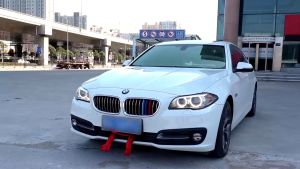 MLADEN 5PCS Universal Car Floor Mats Pu Leather Car Floor Matting Waterproof Car Mat SUV Floor Liner Car Matting Interior Accessories