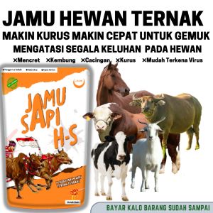 Jamu sapi hs penambah makan hewan vitamin sapi kambing domba kerbau kuda jamu pmk