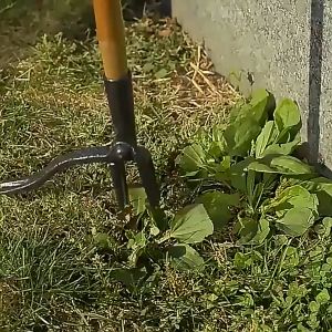 Manual Weeding Head Replacement Claw Metal Weed Puller Tools with Foot Pedal Manual Root Remover Gardening Tools