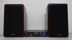 PUCUK Audio Amplifier speaker Bluetooth karaoke rumahan HiFi SD Card USB Dual Mic 160W - AV-016BT