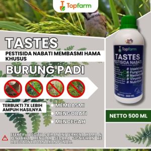 Obat Pembasmi Burung Pada Padi / Obat Semprot Padi Hama Burung / Obat Pengusir Burung Pada Padi / Obat Padi Hama Burung Pipit / Obat Burung Padi