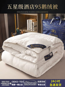 Thickened Warmth down Comforter Five Star Hotel Standard White Goose Feather Filling All Seasons Bedding Quilt Duvet Cover