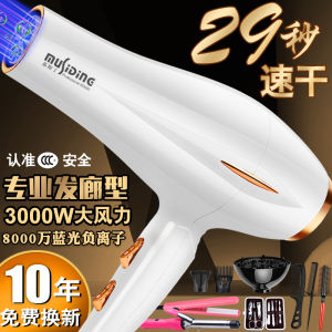 German Hair Salon Electric Hair Dryer Hair Saloon Dedicated 3000W High Power Anion For Home Strong Wind Force Quick Drying