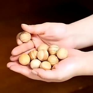 Kapur Barus Kayu Kamper Kayu Alami Penghilang Bau Anti Serangga Hama