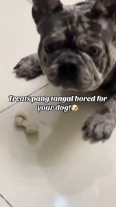 Knott Bone 2.5 inch Rawhide Teeth Twisted Chew Bone Knot Treat Dog Chew Dogs Essential Adult Puppy