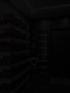 MAYi BOX | Dustproof Large Capacity Intelligent Glowing Storage Shoe Rack