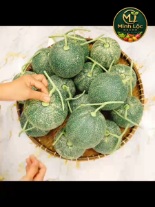 Trái Dưa Lưới trang trí Xanh/ Vàng Trang Trí Cao Cấp | Trái Cây Nhựa foam Trái Cây trang trí Trái Cây Mô Hình