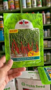 benih cabai rawit keriting Tangguh F1 East-West Seed Cap Panah Merah 2000 BUTIR