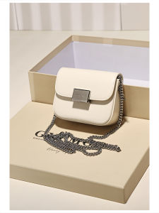 Luxurious Mini Square Bag Womens Crossbody Shoulder Bag Fashionable Lock Buckle Clutch Purse Elegant Simple Design Handbag