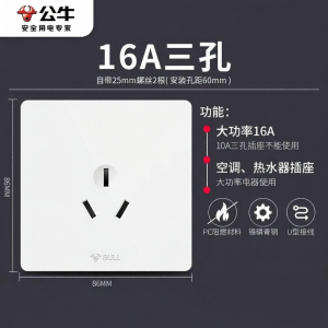 Bull | Glossy White Wall Socket Panel 10A