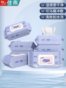 Jiayan Wet Toilet Paper Independent Packaging Degradable Wash Toilet Seat Paper Wipe Butt Wet Tissue Deodorant Clean Wet Bung Fodder