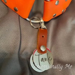 Custom Engrave Pet Tag Cat Dog Engrave ID Tag Stainless Steel Pet Collar Tag Nama Kuching 宠物名牌定制