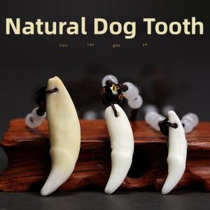 YISHUIGE | Authentic Black Dog Tooth Necklace Pendant