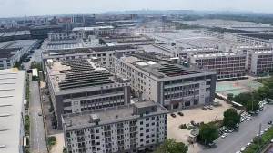 High Quality [ Spot inventory ] 377 Broken Black Day Cream Night Cream Concealer Sun-Proof Light Spot Cream Whitening Acne Removing Freckle Cream Anti-Wrinkle