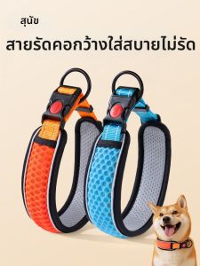 7o | Dog Traction Collar and Leash for Small to Medium Large Dogs