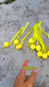 Snake-free within1000m belerang halau ular 驱蛇丸 snake repellent penghalau ular halau ular racun ular ubat halau ular snake repellent outdoor 10 pellets snake repellent for home belerang ular