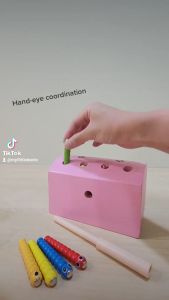 Wooden Magnetic Bug/Worm Catching Fine Motor Educational Montessori Toy