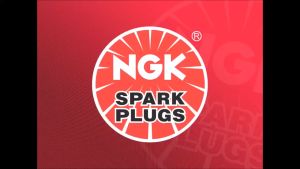 PALAM PENCUCUH NGK CPR8EAGP-9  (1 PC) YAMAHA- LC135