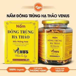 Nấm đông trùng hạ thảo Venus sấy thăng hoa 20g - Khỏe là đẹp quà tặng cao cấp - Viễn đông sài gòn
