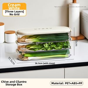 Freshness Preservation Food Storage Box