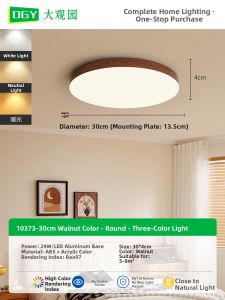 DGY | Vintage Japanese Style Modern Simplified Lighting For Study And Master Bedrooms Walnut Finish Ultra Thin Circular Design