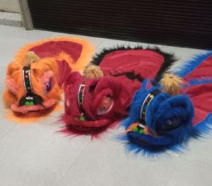 BARONGSAI TERLARIS/BARONGSI BERKUALITAS/BARONGSAI FRESS NEW