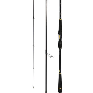 Daiwa | Lightweight Shore Casting Surf Fishing Rod