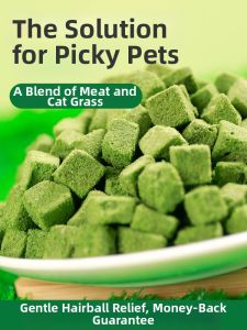 WEIDONGXING | Hairball Relief Cat Snacks