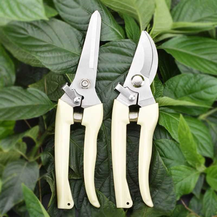 SUOMAN%20%7C%20%E0%B8%81%E0%B8%A3%E0%B8%A3%E0%B9%84%E0%B8%81%E0%B8%A3%E0%B8%95%E0%B8%B1%E0%B8%94%E0%B8%81%E0%B8%B4%E0%B9%88%E0%B8%87%E0%B8%94%E0%B8%AD%E0%B8%81%E0%B9%84%E0%B8%A1%E0%B9%89%20-%20Image%203