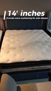BETTY FURNITURE Lienca Grantas 14 Inches Deep Sleep System Therapy Premium Coil System Mattress Bonnel Spring Memory Foam