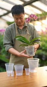 High-Transparency Orchid Pot | Phalaenopsis Orchid Pot | Sphagnum Moss Planter | Plastic Outer Pot | Round Clear Pot