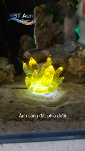 Tinh Thể Epoxy Hổ Phách Hoàng Kim - Trang Trí Thủy Sinh - Tiểu Cảnh - Decor