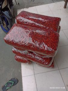 5 KG CABE KERING CAPLAK /CABE TEJA/CABE RAWIT SUPER PEDAS KWALITAS SUPER TANPA CAMPURAN