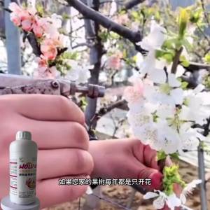 强力【稳果防落】进口授粉座果精叶面肥促花稳果催花防落花膨果树蔬菜花卉水溶肥料