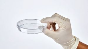 เชื้อแบบจาน 9-10cm รวมฝาปิด 2 ขนาด ชุดพร้อม กระบวนการแพทย์