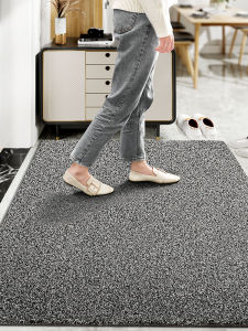 Modern Simple Home Entrance Mat Dirt Resistant Door Mat Anti Slip Outdoor Door Rug Carpet Doorway Foot Pad Floor Mat