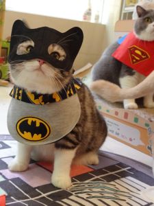 Batman Cat Batman Pet Costume Halloween Pet Cat Costume Funny British Shorthair American Shorthair Cat Bib and Neckerchief