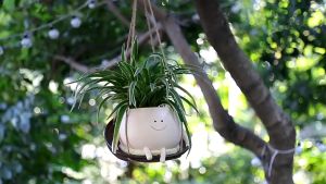 【SG Dliver】Display of Hanging Planters Indoor and Outdoor Plants Succulents String of Pearls Living Resin Planters