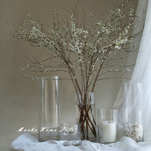 Large Size Transparent Glass Flower Vase Stand-alone Thickened Straight Tube for Placing Horse Herbs Or Wealth Bamboo Decor