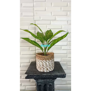 Tanaman Plastik Pohon Artificial Aglonema Zebra X9 Semilatex Cover Pot Seagrass Cokolat Mini Pajangan Rak Dekorasi Meja Kantor