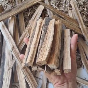 15 khúc Giác trầm kiến kim 100g xông đốt loại cao giá gốc tận xưởng