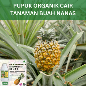 Pupuk Buah Nanas 250 ML /Pupuk Booster Nanas Cepat Berbuah Lebat/Pupuk Cair Nanas